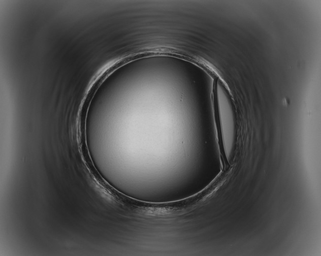 X0000086291082200704131542