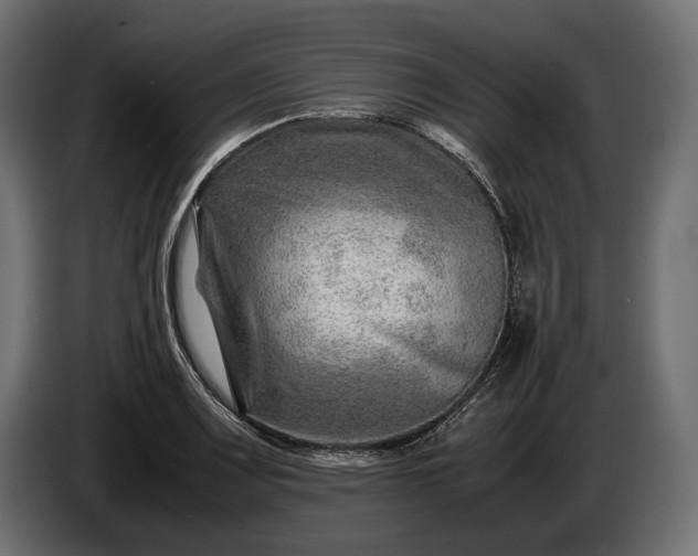 X0000086291083200704131542