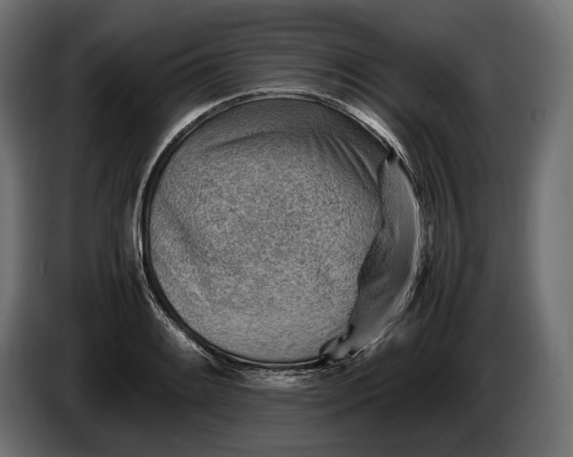X0000086291084200704131542