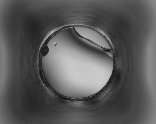 X0000086291085200704131542