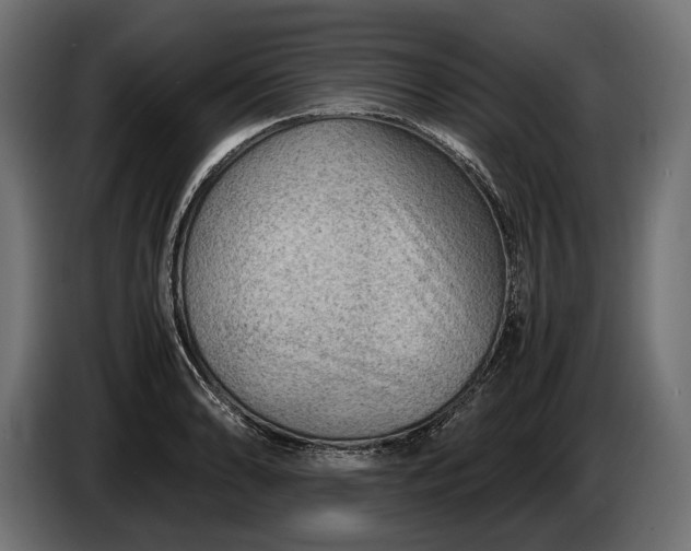 X0000086291086200704131542