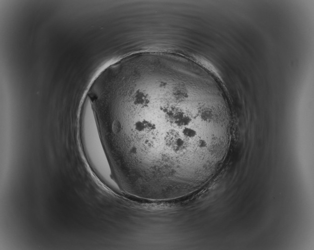 X0000086291087200704131542