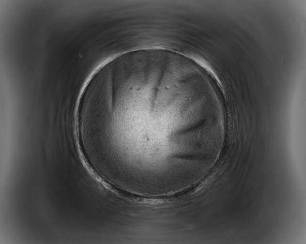X0000086291088200704131542
