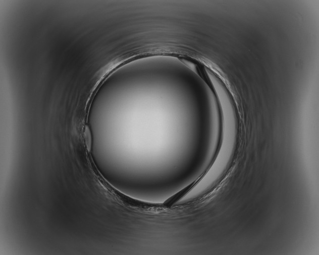 X0000086291089200704131542