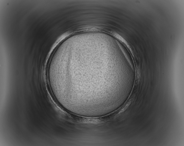 X0000086291090200704131542