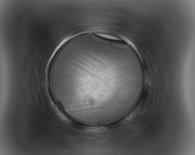 X0000086291091200704131542