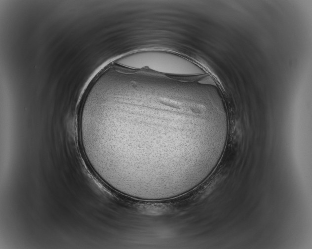 X0000086291092200704131542