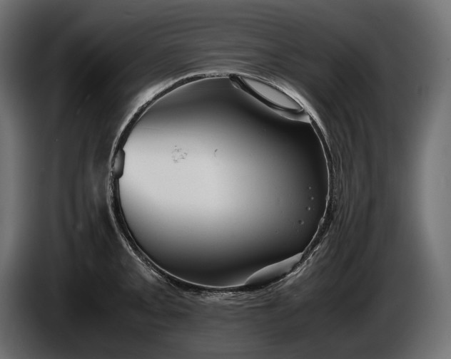 X0000086291093200704131542