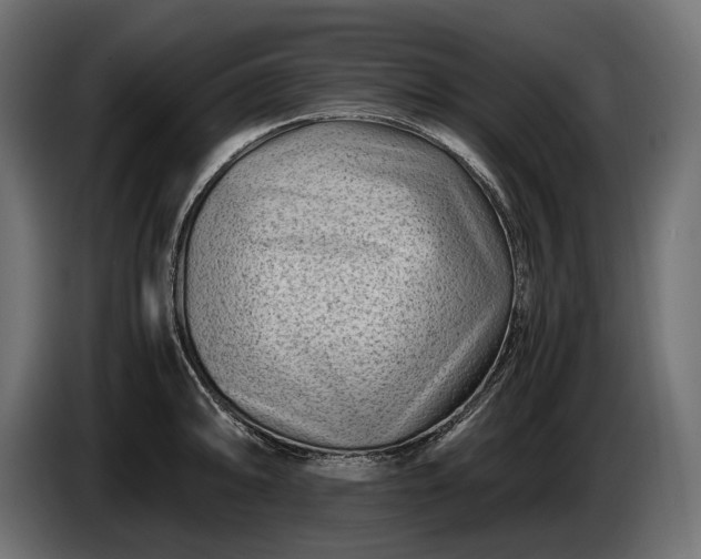 X0000086291094200704131542