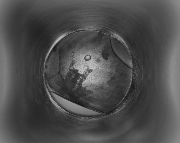 X0000086291095200704131542