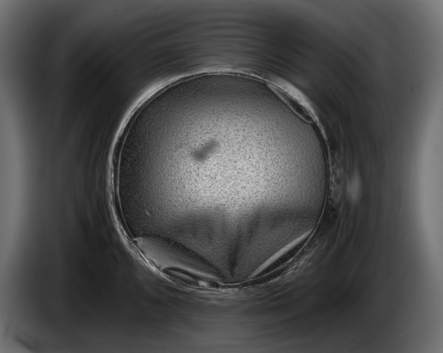 X0000086291096200704131542