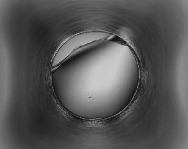 X0000086291097200704131542