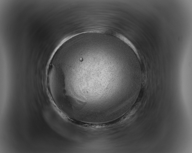 X0000086291099200704131542