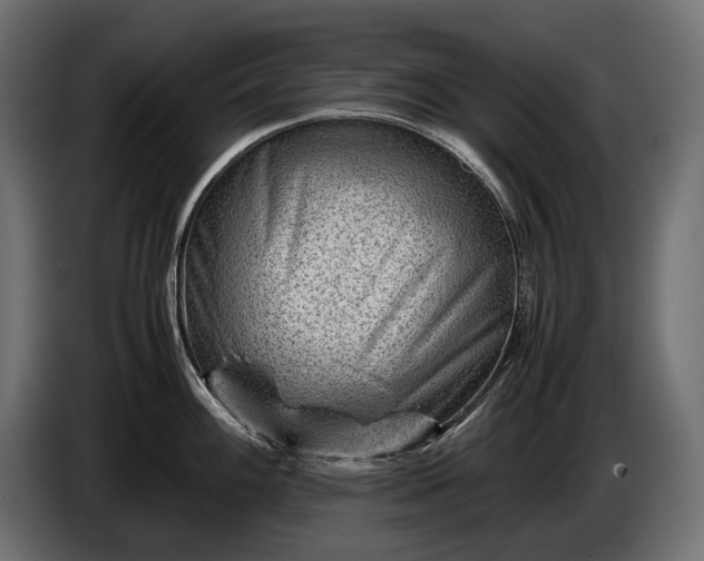 X0000086291100200704131542