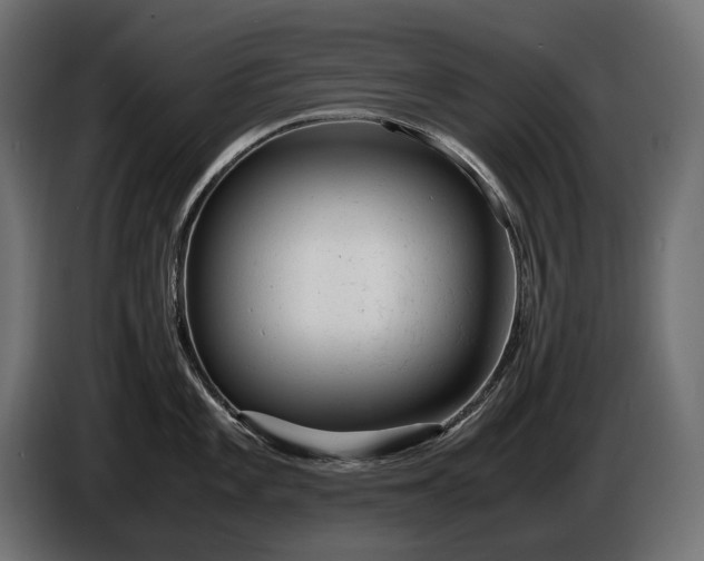 X0000086291101200704131542
