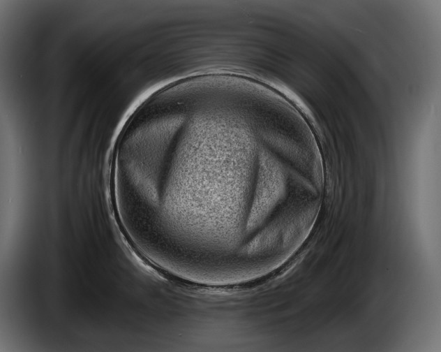 X0000086291102200704131542
