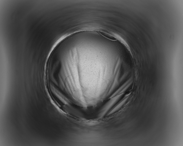 X0000086291103200704131542