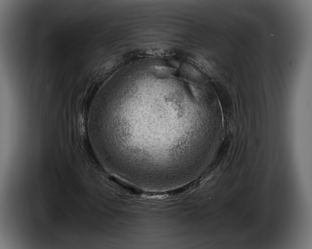 X0000086291106200704131541