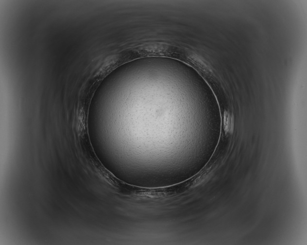 X0000086291107200704131541