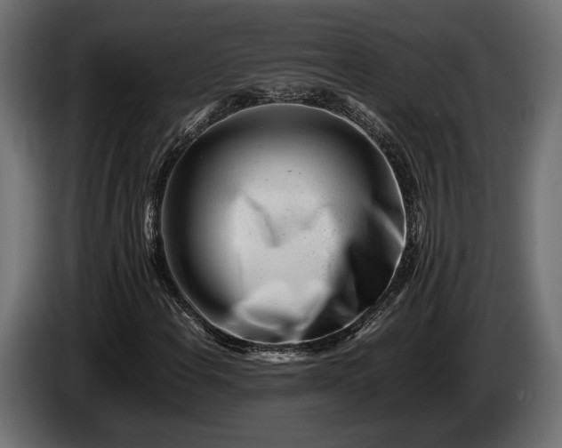 X0000086291108200704131541