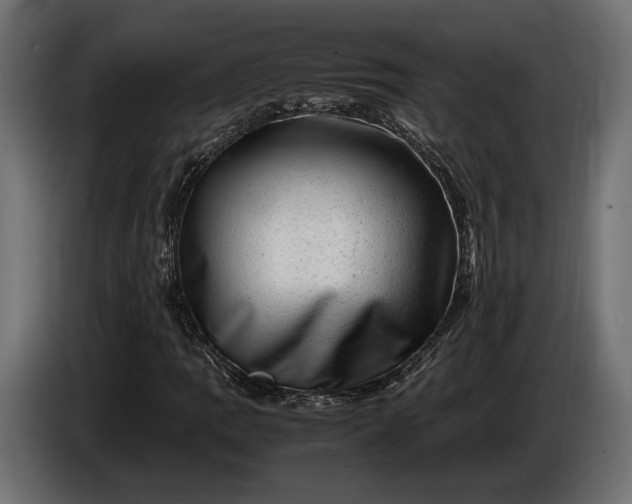 X0000086291109200704131541
