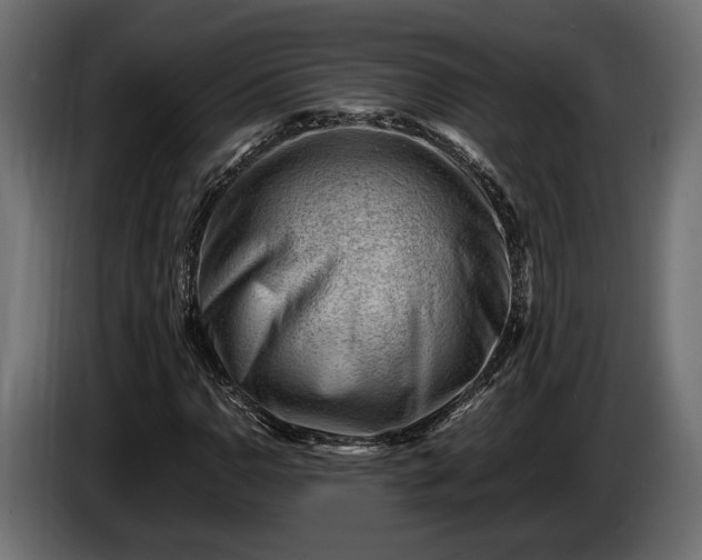 X0000086291110200704131541