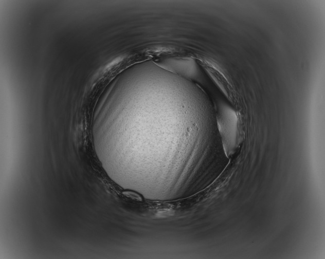X0000086291111200704131541