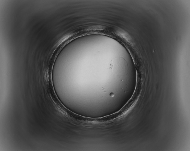 X0000086291113200704131541