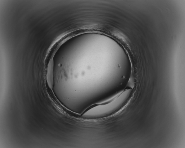 X0000086291114200704131541