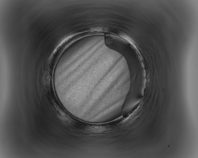 X0000086291115200704131541