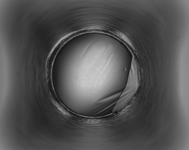 X0000086291116200704131541