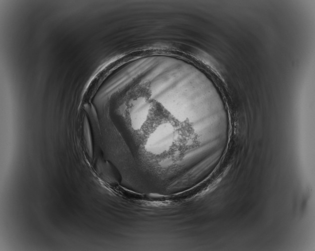 X0000086291117200704131541