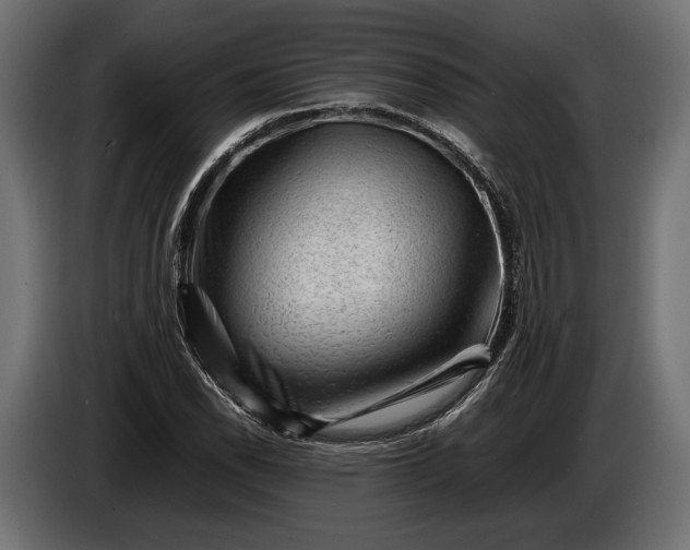 X0000086291118200704131541
