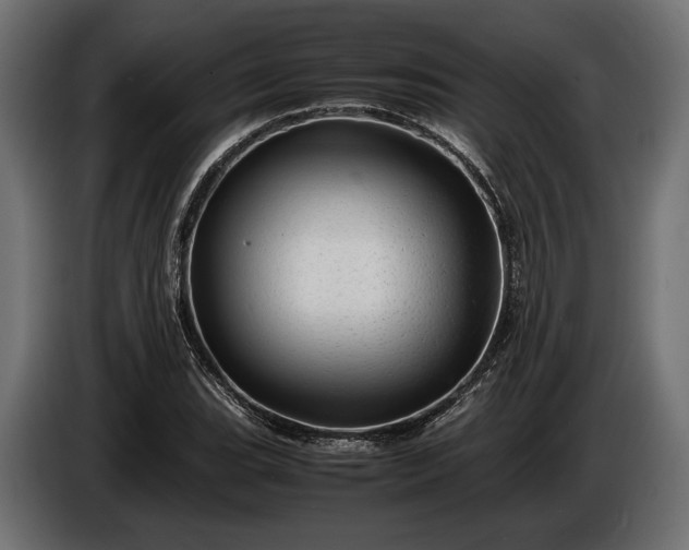 X0000086291119200704131541