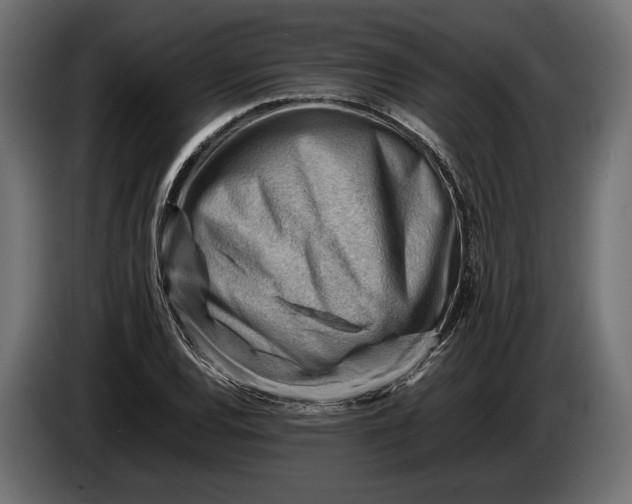 X0000086291120200704131541