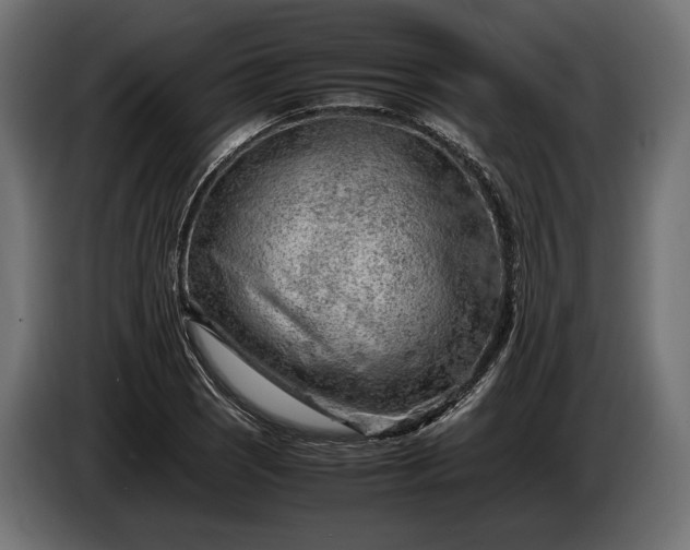 X0000086291121200704131541