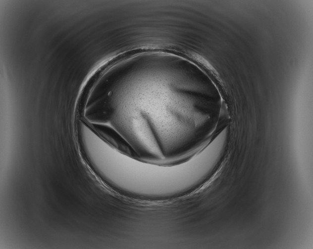 X0000086291122200704131541