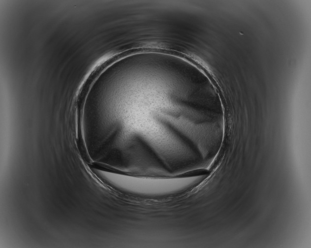 X0000086291123200704131541