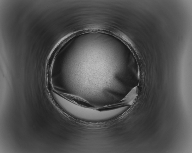 X0000086291124200704131541