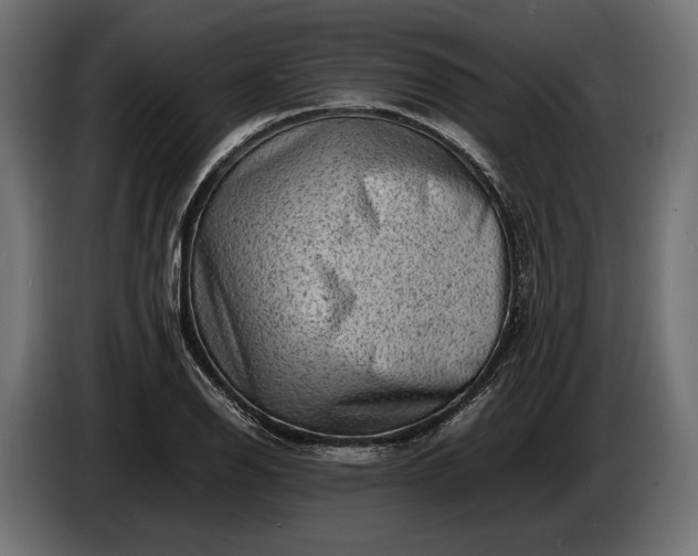 X0000086291126200704131541