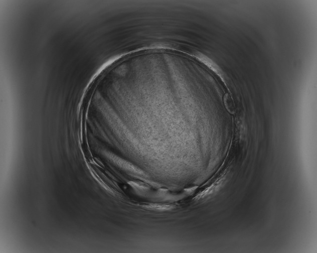 X0000086291127200704131541