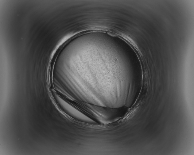 X0000086291128200704131541