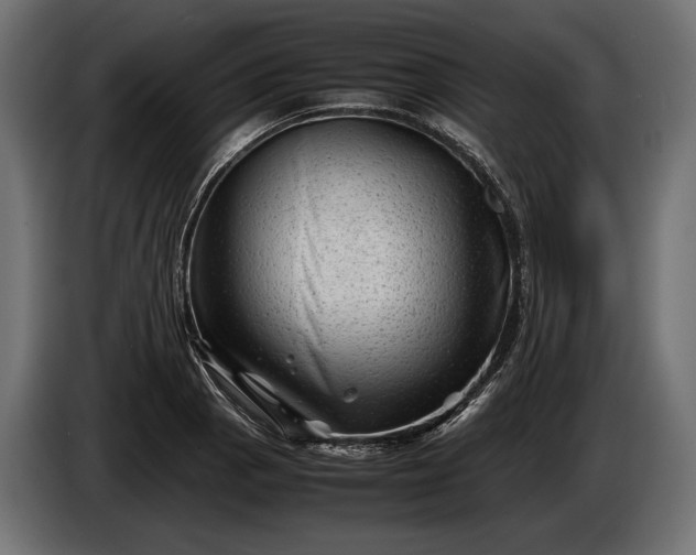 X0000086291129200704131541