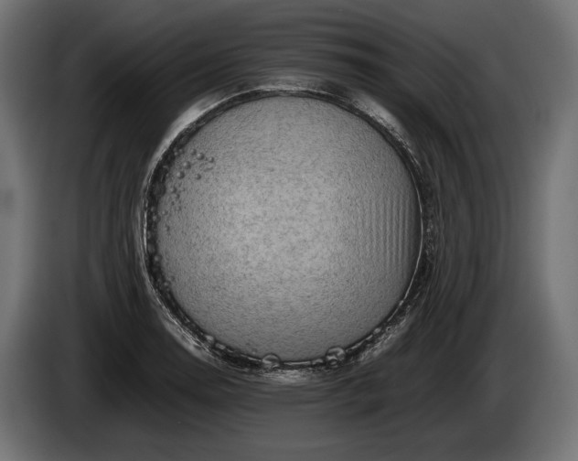 X0000086291130200704131541