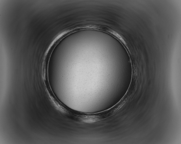 X0000086291131200704131541