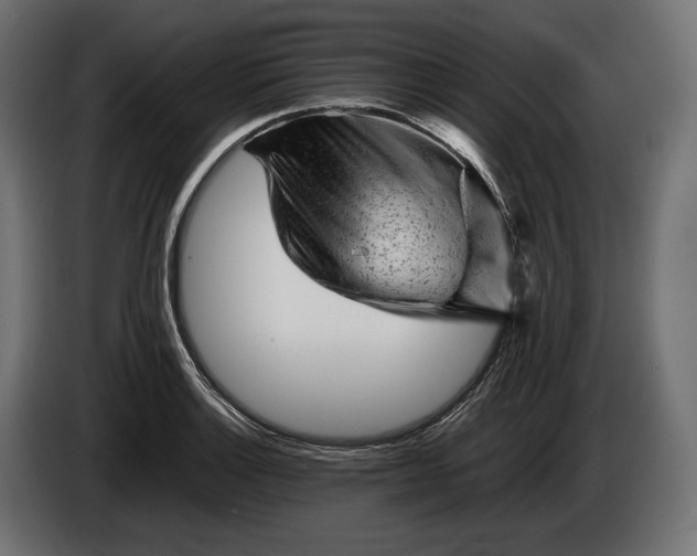 X0000086291132200704131541