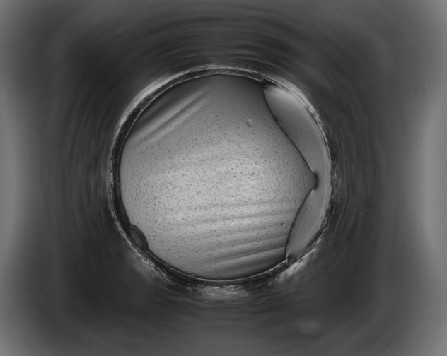 X0000086291133200704131541