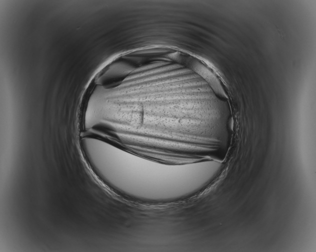 X0000086291134200704131541