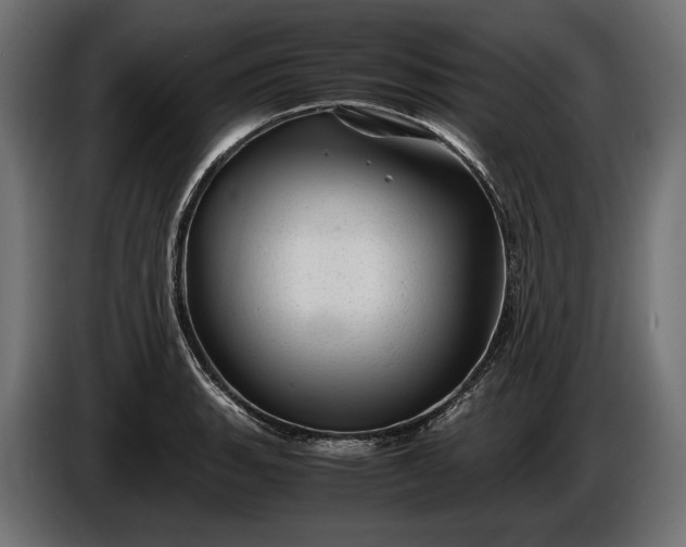 X0000086291135200704131541