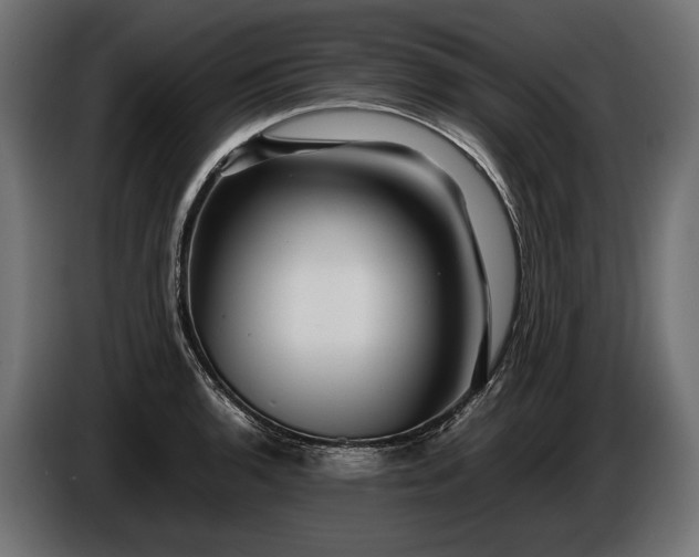 X0000086291136200704131542